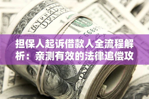 济南担保人起诉借款人全流程解析：亲测有效的法律追偿攻略